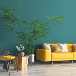 Smooth Paints