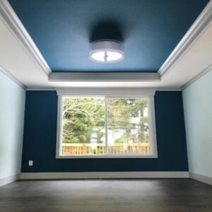 Ceiling Paints
